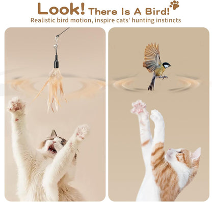 Cat Feather Wand Interactive Toy, 2 Feathers + 1 Wand with Bell